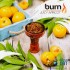 Заказать кальянный табак Burn Juicy Apricot (Берн Абрикос) 100г онлайн с доставкой всей России